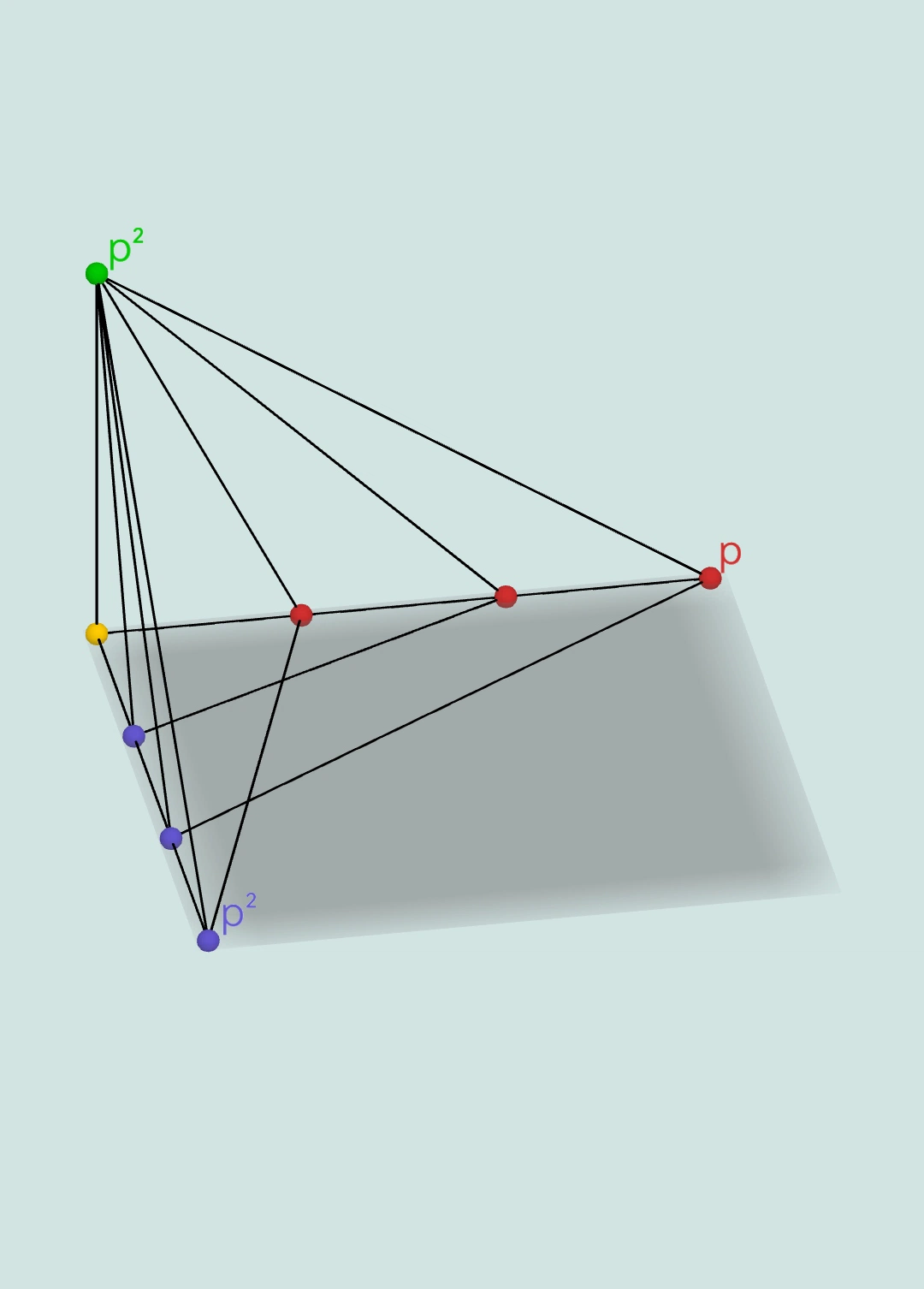 平方态：坐标 (p²,p,p²)，顶点为 p²，红轴端点为 p